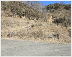  2025Ÿ��532  ����