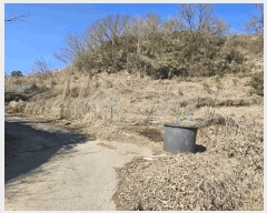  2025Ÿ��532  ����