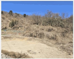  2025Ÿ��532  ����