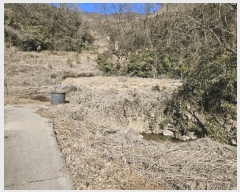  2025Ÿ��532  ����