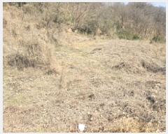  2025Ÿ��532  ����