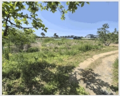  2025Ÿ679   з  168-3      (1)