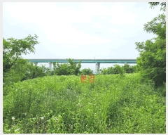  2025Ÿ745  õ ȭ ̸ 268-1      (1)