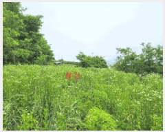  2025Ÿ745  õ ȭ ̸ 268-1      (1)