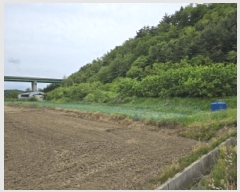  2025Ÿ745  õ ȭ ̸ 268-1      (1)