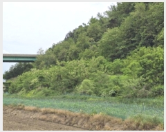  2025Ÿ745  õ ȭ ̸ 268-1      (1)