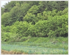  2025Ÿ745  õ ȭ ̸ 268-1      (1)