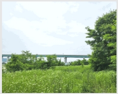  2025Ÿ745  õ ȭ ̸ 268-1      (1)