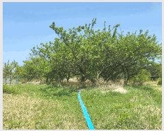  2025Ÿ��771 ��� ��õ�� �Ӱ��� ��õ�� 191      ����(��1)���