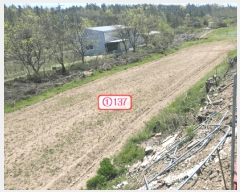  2025Ÿ��771 ��� ��õ�� �Ӱ��� ��õ�� 191      ����(��1)���