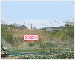  2025Ÿ��771 ��� ��õ�� �Ӱ��� ��õ�� 191      ����(��1)���