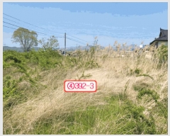  2025Ÿ��771 ��� ��õ�� �Ӱ��� ��õ�� 191      ����(��1)���