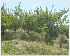  2025Ÿ��771 ��� ��õ�� �Ӱ��� ��õ�� 191      ����(��1)���