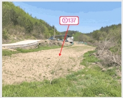  2025Ÿ��771 ��� ��õ�� �Ӱ��� ��õ�� 191      ����(��1)���