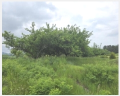  2025Ÿ��771 ��� ��õ�� �Ӱ��� ��õ�� 191      ����(��1)���