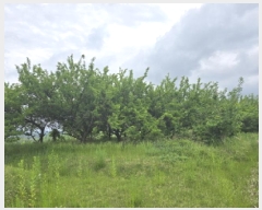  2025Ÿ��771 ��� ��õ�� �Ӱ��� ��õ�� 191      ����(��1)���