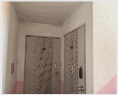  2025Ÿ��966 �뱸 �ϱ� ������ 1755-4       �ٰ������ð��