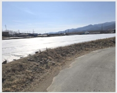  2025Ÿ��6196 ��� ��õ�� �ų�� ȭ���� 490-9      ����(��)���