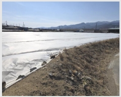  2025Ÿ��6196 ��� ��õ�� �ų�� ȭ���� 490-9      ����(��)���