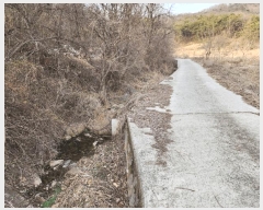  2025Ÿ��7355 ��� û���� ��õ�� ������ 977      ����(��)���