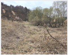  2025Ÿ��7355 ��� û���� ��õ�� ������ 977      ����(��)���