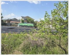  2025Ÿ7474  ĥ ְ ְ 610-1      (1)