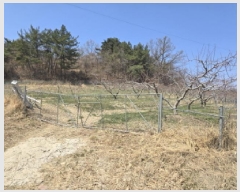  2025Ÿ��7573 ��� ��õ�� û��� �ַø� 3-1      ����(������)���