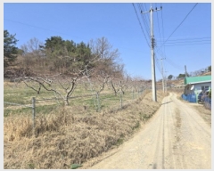  2025Ÿ��7573 ��� ��õ�� û��� �ַø� 3-1      ����(������)���