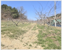  2025Ÿ��7573 ��� ��õ�� û��� �ַø� 3-1      ����(������)���