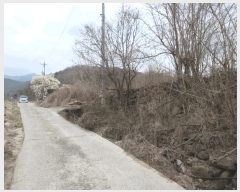  2025Ÿ7585 뱸  Ź 112       ()