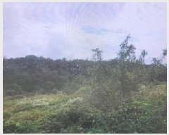  2025Ÿ7585 뱸  Ź 112       ()