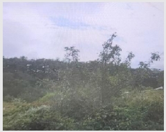  2025Ÿ7585 뱸  Ź 112       ()