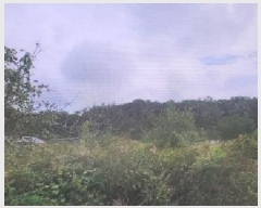  2025Ÿ7585 뱸  Ź 112       ()