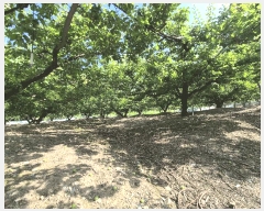  2025Ÿ��7771 ��� ��õ�� �ų�� �λ긮 490      ����(��1)���