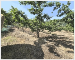  2025Ÿ��7771 ��� ��õ�� �ų�� �λ긮 490      ����(��1)���