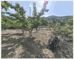  2025Ÿ��7771 ��� ��õ�� �ų�� �λ긮 490      ����(��1)���