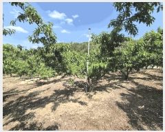  2025Ÿ��7771 ��� ��õ�� �ų�� �λ긮 490      ����(��1)���