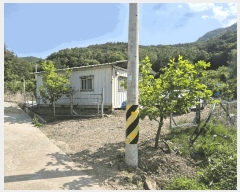  2025Ÿ��7771 ��� ��õ�� �ų�� �λ긮 490      ����(��1)���