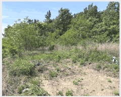  2025Ÿ��7837  �����