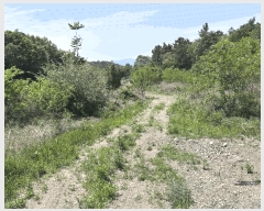  2025Ÿ��7837  �����