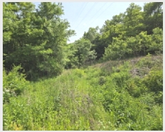  2025Ÿ��7837  �����