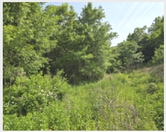  2025Ÿ��7837  �����