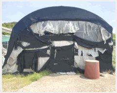  2025Ÿ7848  õ ȭ ϸ 223      ()