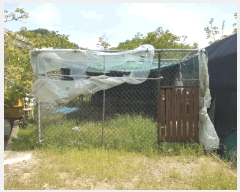  2025Ÿ7848  õ ȭ ϸ 223      ()