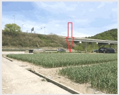  2025Ÿ7848  õ ȭ ϸ 223      ()