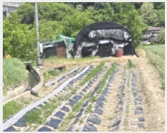  2025Ÿ7848  õ ȭ ϸ 223      ()