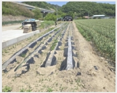  2025Ÿ7848  õ ȭ ϸ 223      ()