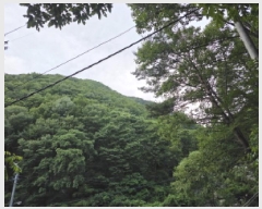  2025Ÿ��7892 ��� û���� ������ ��긮 ��136      ����(�Ӿ�)���