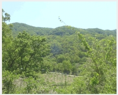  2025Ÿ7914  ĥ   69-1      (Ӿ)