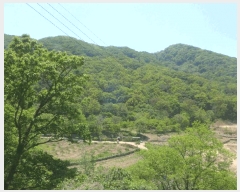  2025Ÿ7914  ĥ   69-1      (Ӿ)